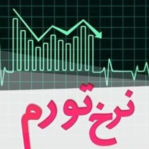 کسری بودجه دولت و بانک‌های ناتراز 2 عامل اصلی تورم در کشور هستند