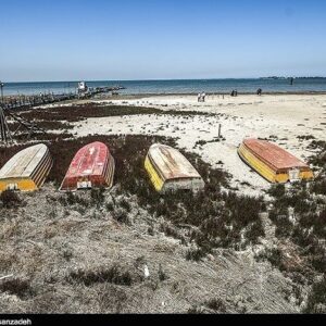 تهدید محیط زیست، اقتصاد و سلامت میلیون‌ها نفر با خشکی خلیج گرگان