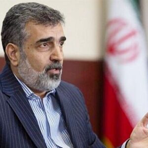 کمالوندی: در زمان حاضر بازرسی نداریم/ چند روز پیش هیئت روسی به تهران آمد