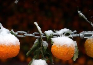 هواشناسی ایران 1404/9/19؛ فعالیت سامانه بارشی در 24 استان