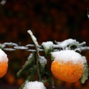 هواشناسی ایران 1404/9/19؛ فعالیت سامانه بارشی در 24 استان