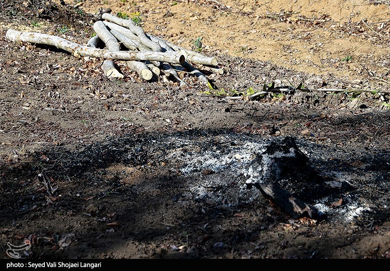 اخبار استان مازندران , اخبار ساری , 