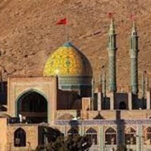 سالگرد شهادت حضرت علی بن امام محمد باقر در اردهال کاشان+فیلم