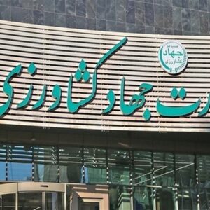 وزارت جهاد کشاورزی ریختن برنج به دریا را تکذیب کرد