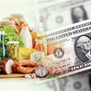 حذف ارز ترجیحی با این تورم به نفع مردم است؟