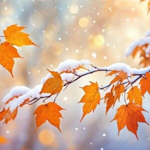 هواشناسی ایران1404/9/18؛هشدار نارنجی بارش برف و باران در 20 استان