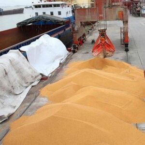 ذخیره 4 میلیون تن گندم به عنوان ذخایر استراتژیک