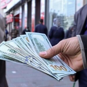 ترمز ارز دست کیست؟ آقای رئیس جمهور، شخصاً ورود کنید