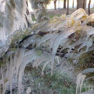 سقز سردترین شهر ایران شد