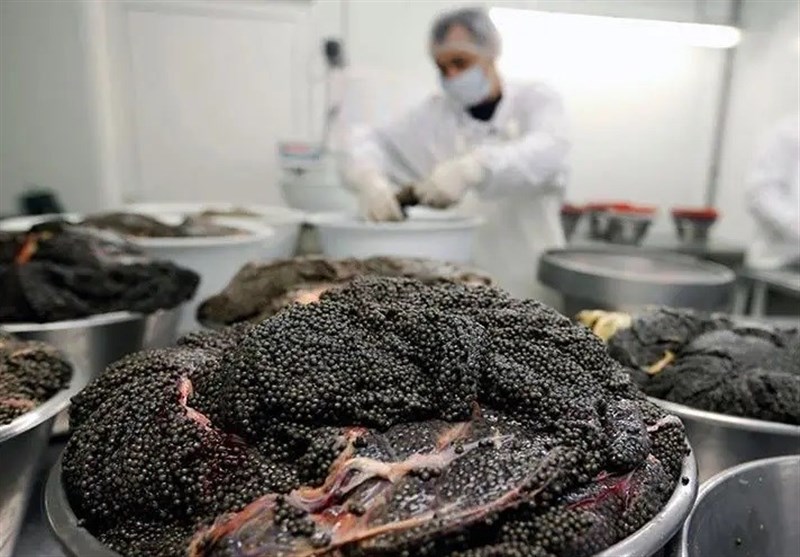 اخبار استان گلستان , دریای خزر ,