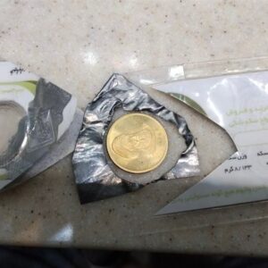 هشدار در بازار 141میلیونی سکه/ پای سکه‌های پلاستیکی به معاملات باز شد