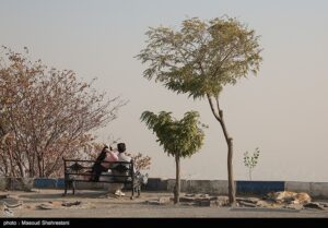 تصمیم‌های دودآلودتر از هوای تهران؛ طرح زوج‌وفرد چگونه یک‌شبه اعلام و لغو شد؟