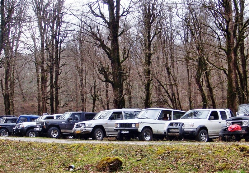 اخبار ساری , نظام مسائل استان مازندران , نظام مسائل استان , 