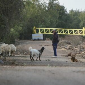 معیشت ساکنان قنیطره در گروگان اسرائیل/ خشم و فریاد سوری‌ها از انفعال جولانی