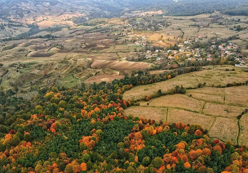 خلع‌ید 631 هکتار منابع طبیعی شمال/ 23 هزار هکتار از سواحل و تالاب‌ها سنددار شد