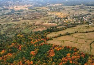 خلع‌ید 631 هکتار منابع طبیعی شمال/ 23 هزار هکتار از سواحل و تالاب‌ها سنددار شد