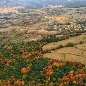 خلع‌ید 631 هکتار منابع طبیعی شمال/ 23 هزار هکتار از سواحل و تالاب‌ها سنددار شد