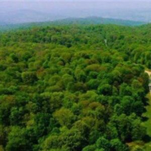 حلقه‌های تهدید در جنگل‌های شمال/ خطر در کمین میراث هیرکانی/ حریق‌ها ادامه دارد