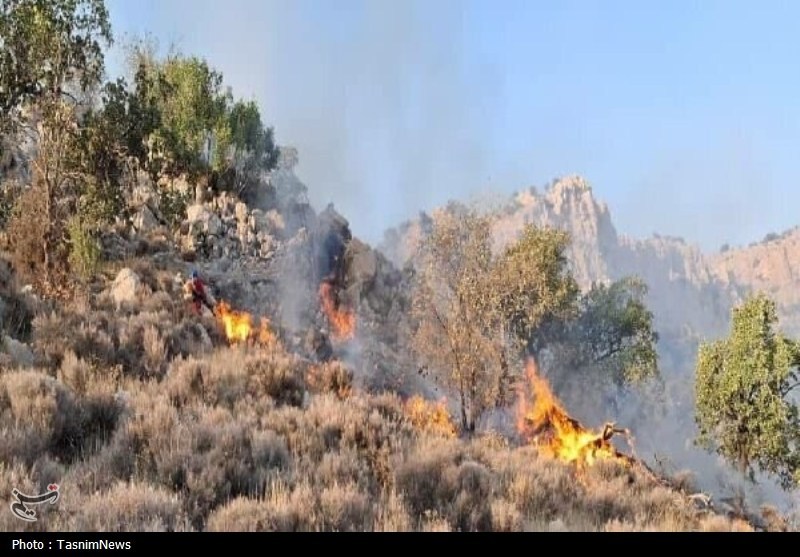 اخبار ساری , نظام مسائل استان , نظام مسائل استان مازندران ,