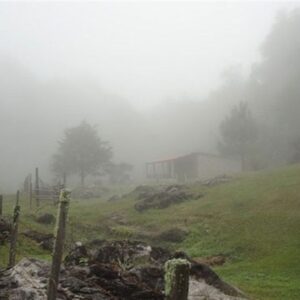 گردشگری پاییزی| ماجراجویی در قلب طبیعت بکر غرب ایران/ سفر به جغرافیای آرامش با چالش “مه”