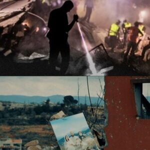 «ماجرای نیمه شب» و «سایه‌های جنگ» / دوربین‌های ایرانی که از راز سید مقاومت برای وطن گفتند