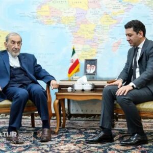 ولایتی در دیدار سفیر ارمنستان: پروژه ترامپ همان دالان زنگه زور با قالب آمریکایی است