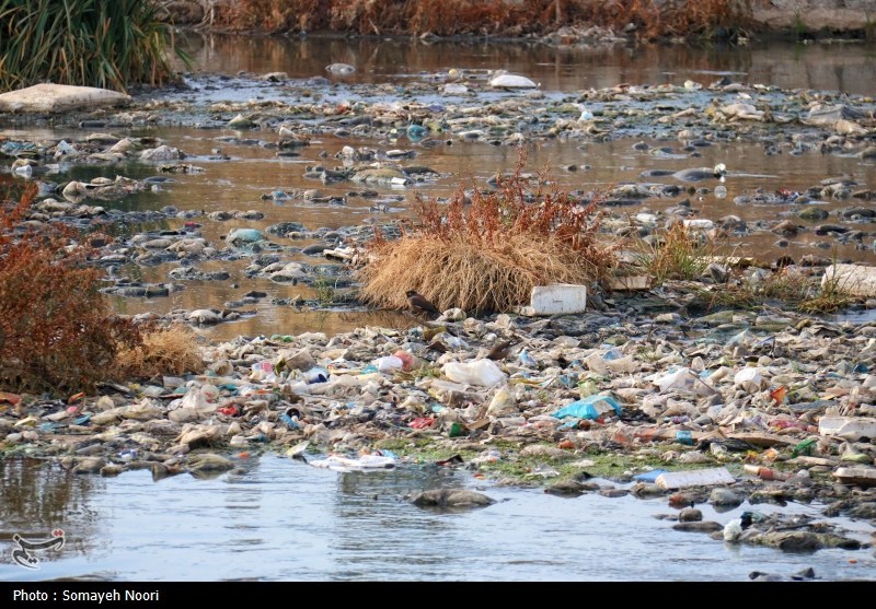 اخبار استان کرمانشاه , اخبار کرمانشاه , آلودگی های زیست محیطی , 