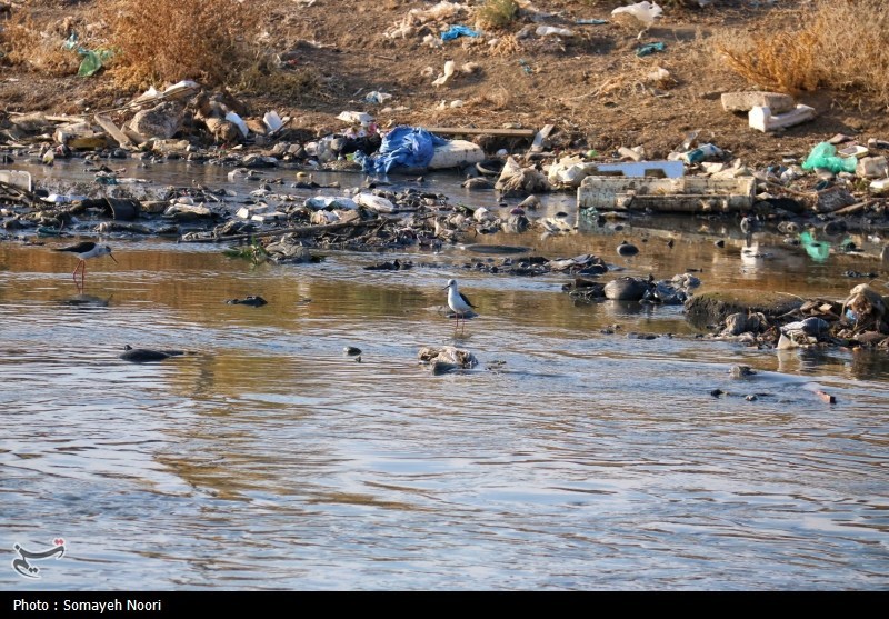 فاجعه زیست‌محیطی در غرب ایران/قره‌سو در محاصره "فاضلاب و پسماند"/ اکولوژیک منطقه نابو‌د شد‌