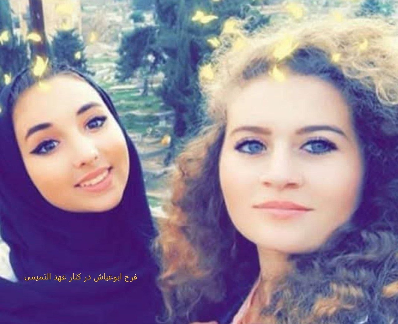 خبرنگار , صهیونیسم , کرانه باختری , مدینة الخلیل , کشور فلسطین , بیت المقدس , خبرگزاری تسنیم , 