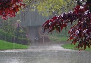 هواشناسی ایران|بارش باران در شمال و شمال غرب کشور