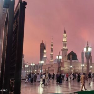 از کوچه بنی‌هاشم تا روضه رضوان؛ روایت یک سفر دانشجویی به مدینه