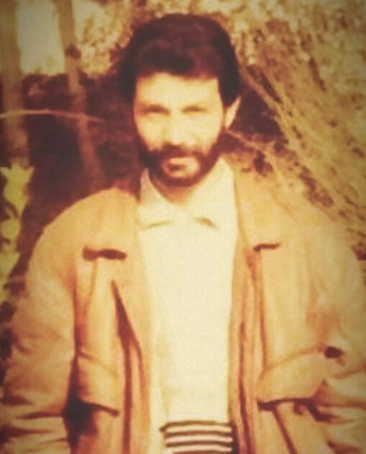 عماد مغنیه , حزب الله لبنان , سید حسن نصرالله , 