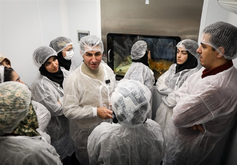 ستاد ویژه توسعه فناوری نانو , فناوری نانو , ستاد توسعه فناوری‌های نانو و میکرو , 