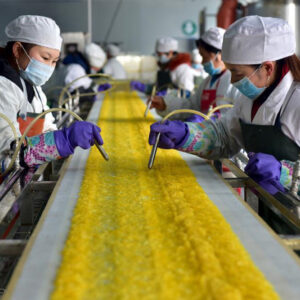 ادراک اندیشه چینی در مفهوم خودکفایی غلات