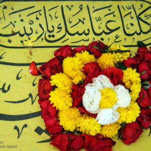 یادواره شهید «سید مجتبی علمدار» در ساری برگزار می‌شود