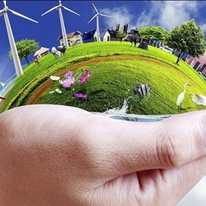 موفقیت جهانی پژوهشگر دانشگاه تربیت مدرس در تولید سوخت پاک از زیست توده