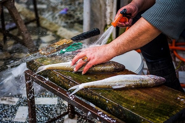 آذربایجان غربی قطب شیلات و آبزیان کشور؛۲۱ هزارتن آبزی تولید می شود