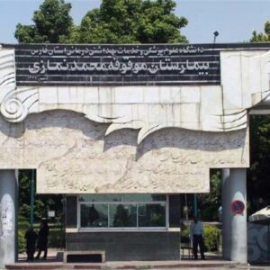 بیمارستان‌های موقوفه فارس میزبان بیماران از سراسر کشور است