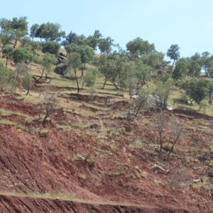 فرسایش و شوری خاک در گلستان؛ تهدیدی جدی برای امنیت غذایی