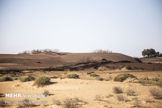 تأکید بر استانداردسازی مواد تثبیت‌کننده خاک در یک کارگروه ملی