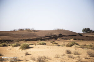 تأکید بر استانداردسازی مواد تثبیت‌کننده خاک در یک کارگروه ملی