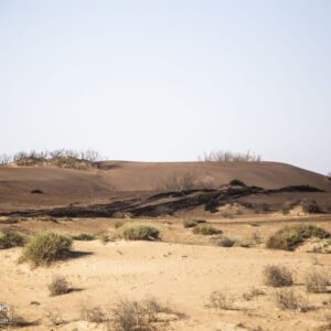 تأکید بر استانداردسازی مواد تثبیت‌کننده خاک در یک کارگروه ملی