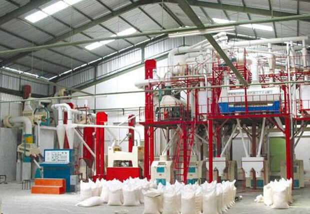 نظارت میدانی بر کیفیت آرد و نان در کنگاور