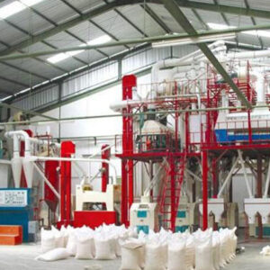 نظارت میدانی بر کیفیت آرد و نان در کنگاور