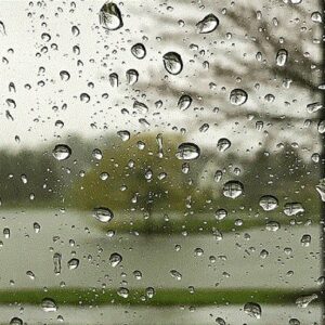 میرحسینی: بارش‌های پراکنده باران از فردا در استان یزد آغاز می‌شود