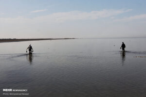 کنعانی: وضعیت تالاب میانکاله و خلیج گرگان نگران کننده است