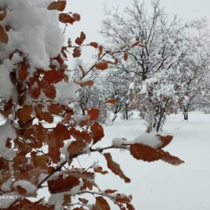 بارش تگرگ و برف خوزستان پیش بینی می شود