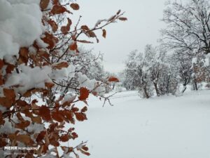 پیش بینی بارش برف در خوزستان