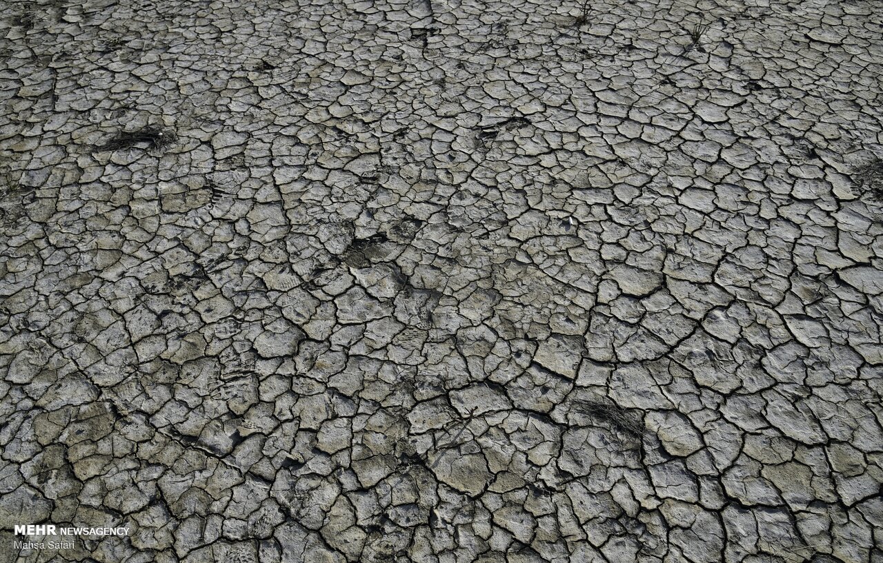 خلیج گرگان درآستانه فروپاشی اکولوژیک؛نفس‌خلیج ایرانی خزربه شماره افتاد