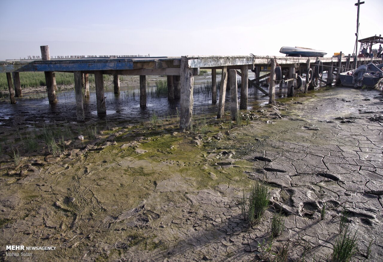 خلیج گرگان درآستانه فروپاشی اکولوژیک؛نفس‌خلیج ایرانی خزربه شماره افتاد